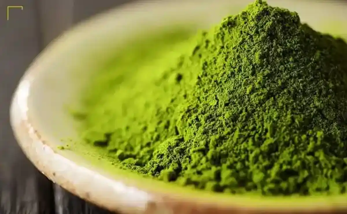 ماچا چیست