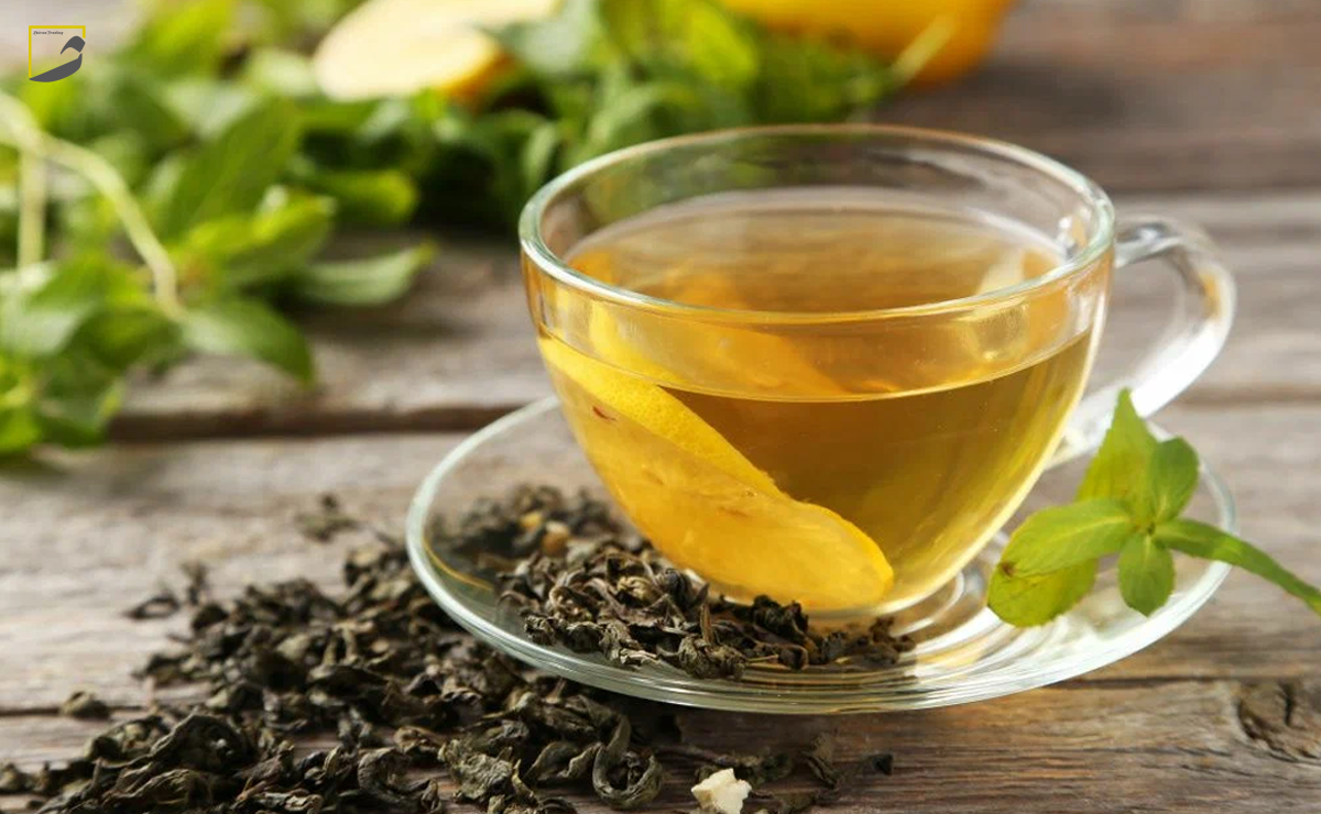 دمنوش چای سبز