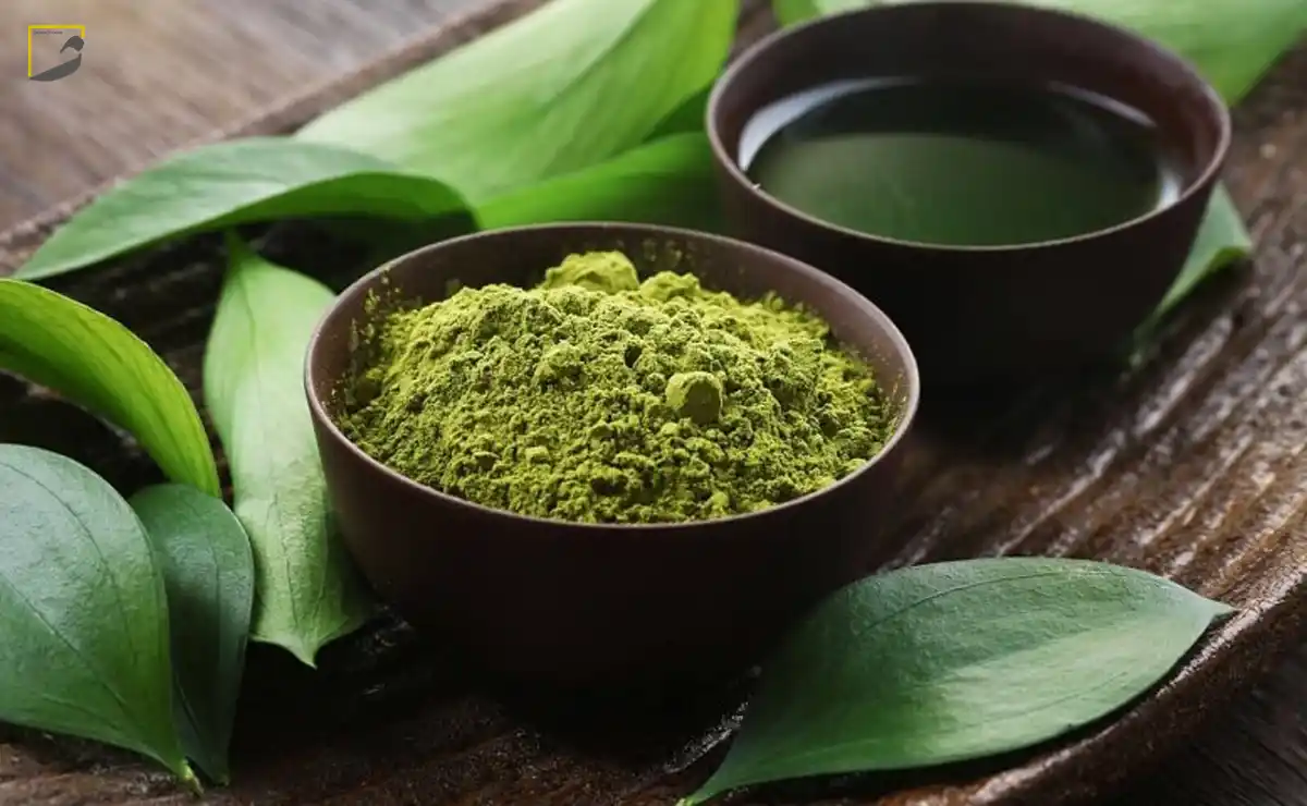 طریقه مصرف چای ماچا برای لاغری