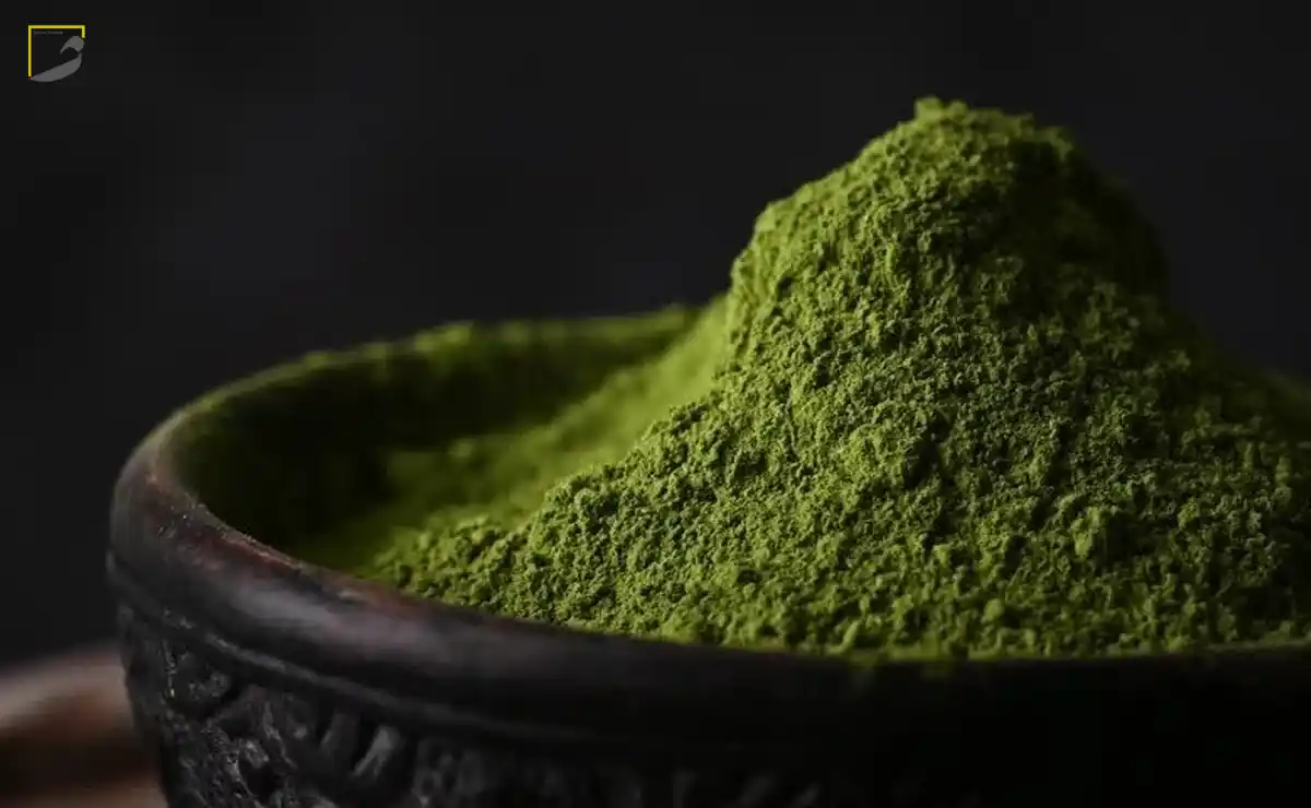 خواص ماچا برای وست
