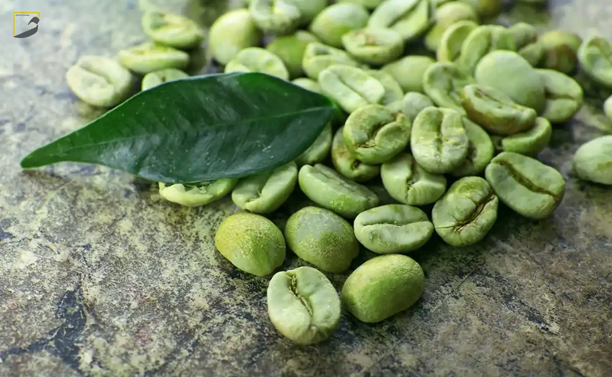 مزایای استفاده از قهوه سبز در کافهها و بیزینسها