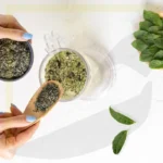 نعنا مراکشی مومنتی